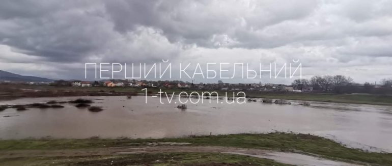 На Закарпатті знову піднявся рівень води: у Мукачеві зафіксовані перші підтоплення