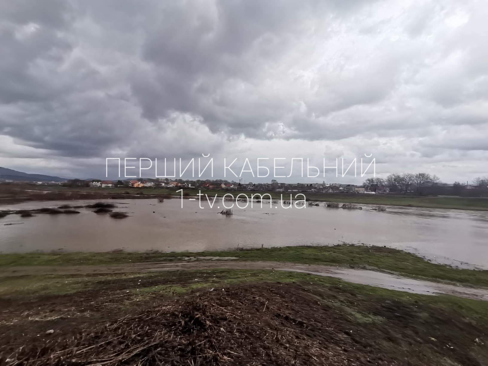 На Закарпатті знову піднявся рівень води: у Мукачеві зафіксовані перші підтоплення