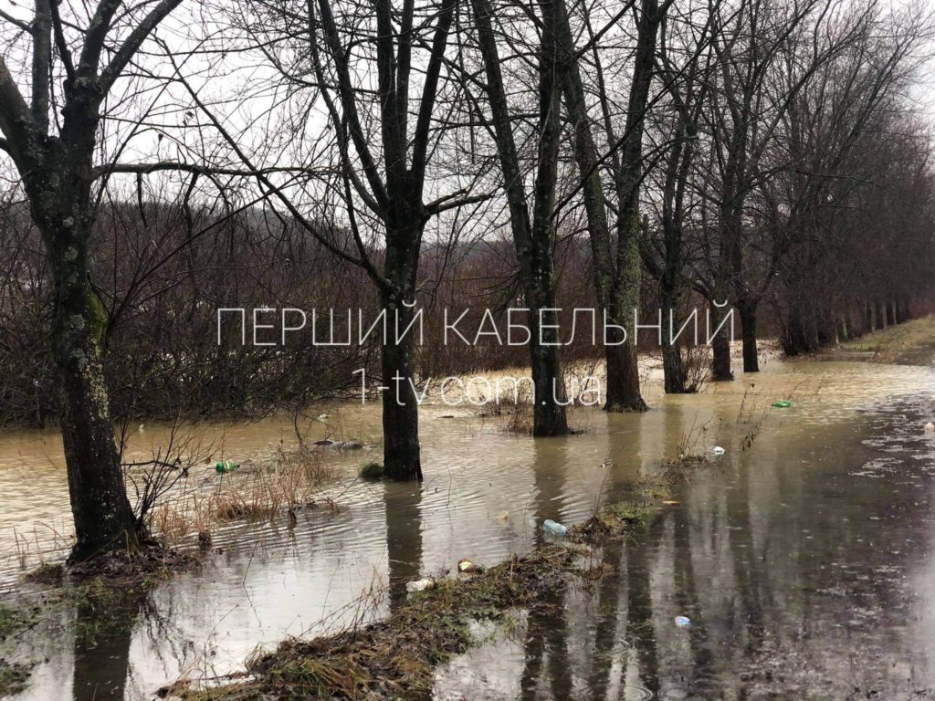 Іршавщина у воді: затопило вулиці та двори людей