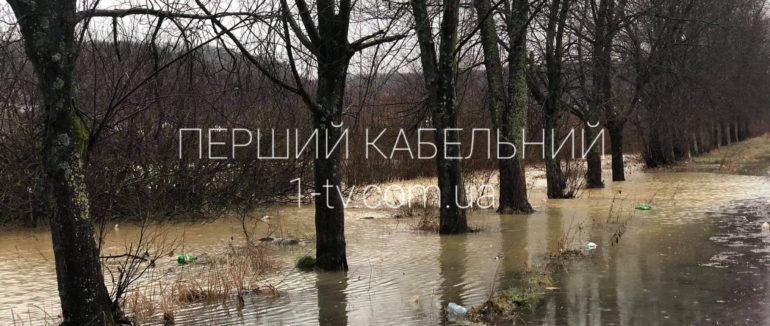Іршавщина у воді: затопило вулиці та двори людей
