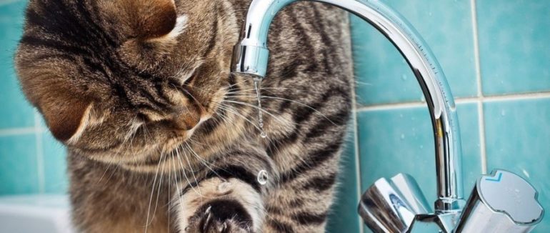 На декількох вулицях Мукачева буде відсутнє водопостачання