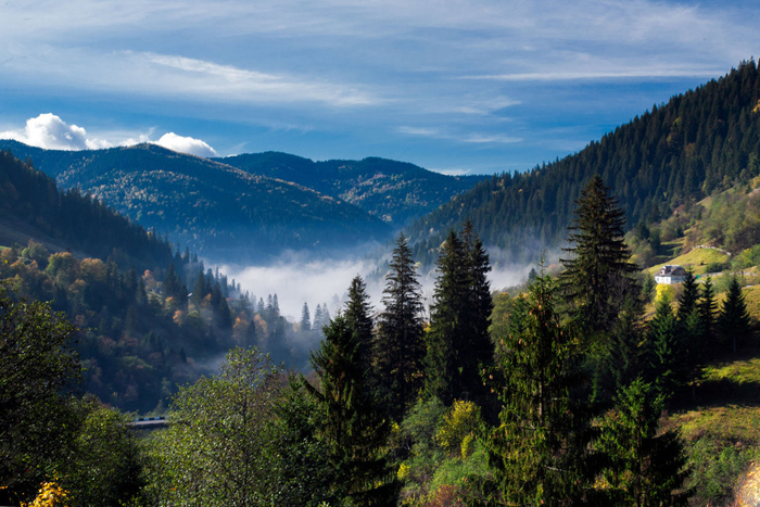 Розвиток та децентралізація: на Закарпатті підвели підсумки впроваджених реформ