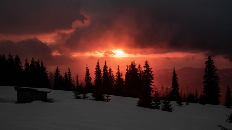 Міжгалактичні мандри: в мережі опублікували "засніжені" фото закарпатських гір