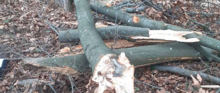 Розслідування завершено: подробиці нещасного випадку зі смертельним наслідком на Мукачівщині