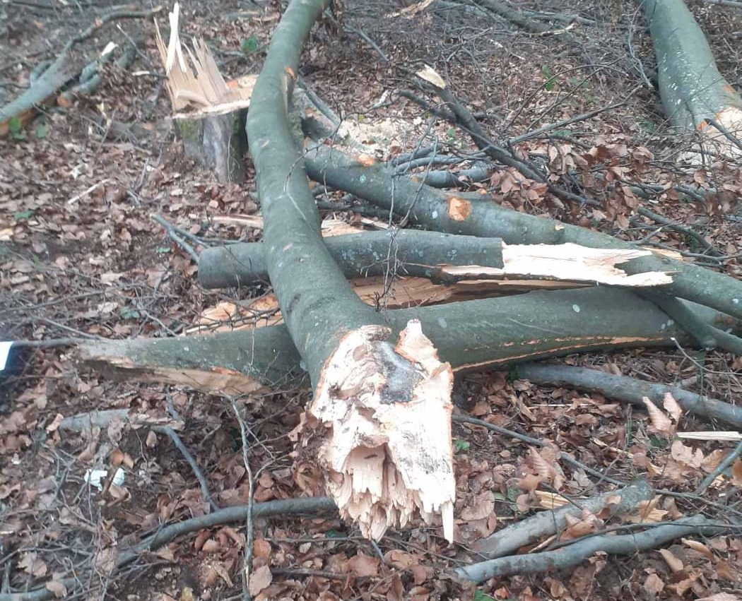 Розслідування завершено: подробиці нещасного випадку зі смертельним наслідком на Мукачівщині