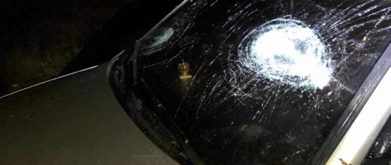 Зупиняли авто та били битами: на Іршавщині затримали групу шибеників