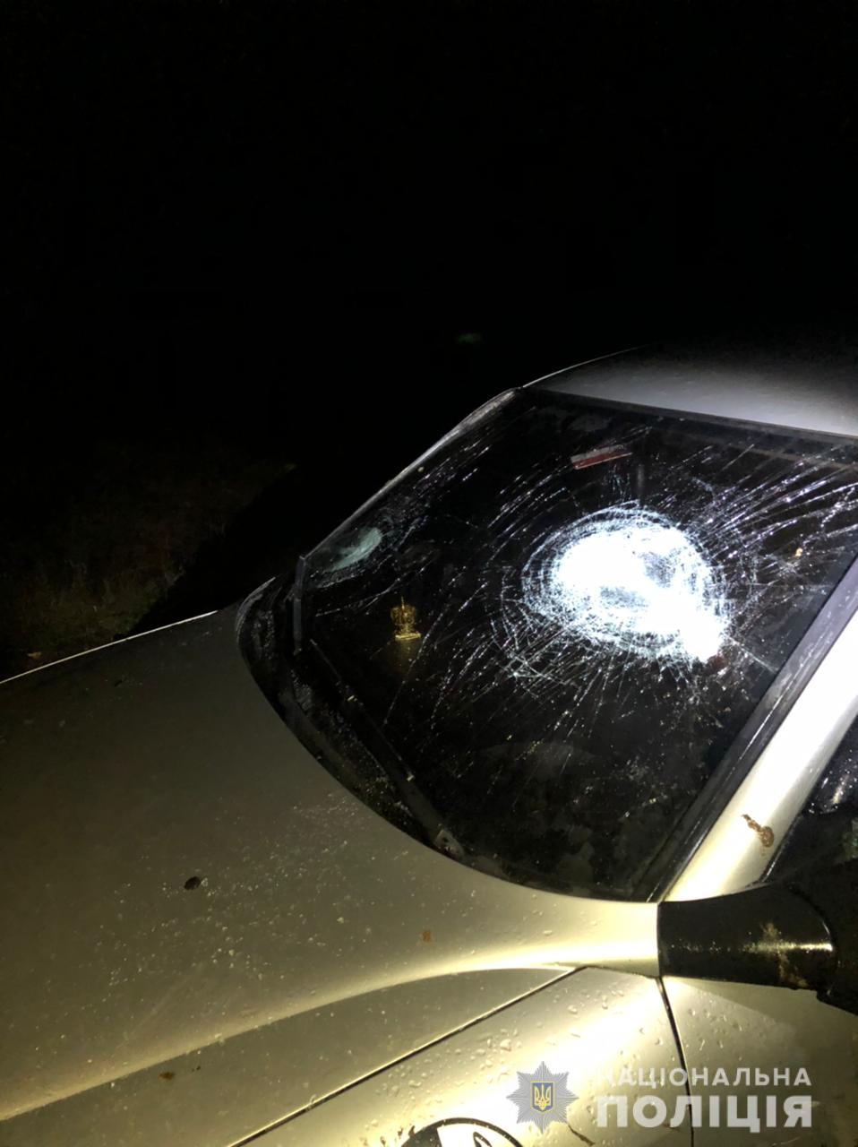 Зупиняли авто та били битами: на Іршавщині затримали групу шибеників