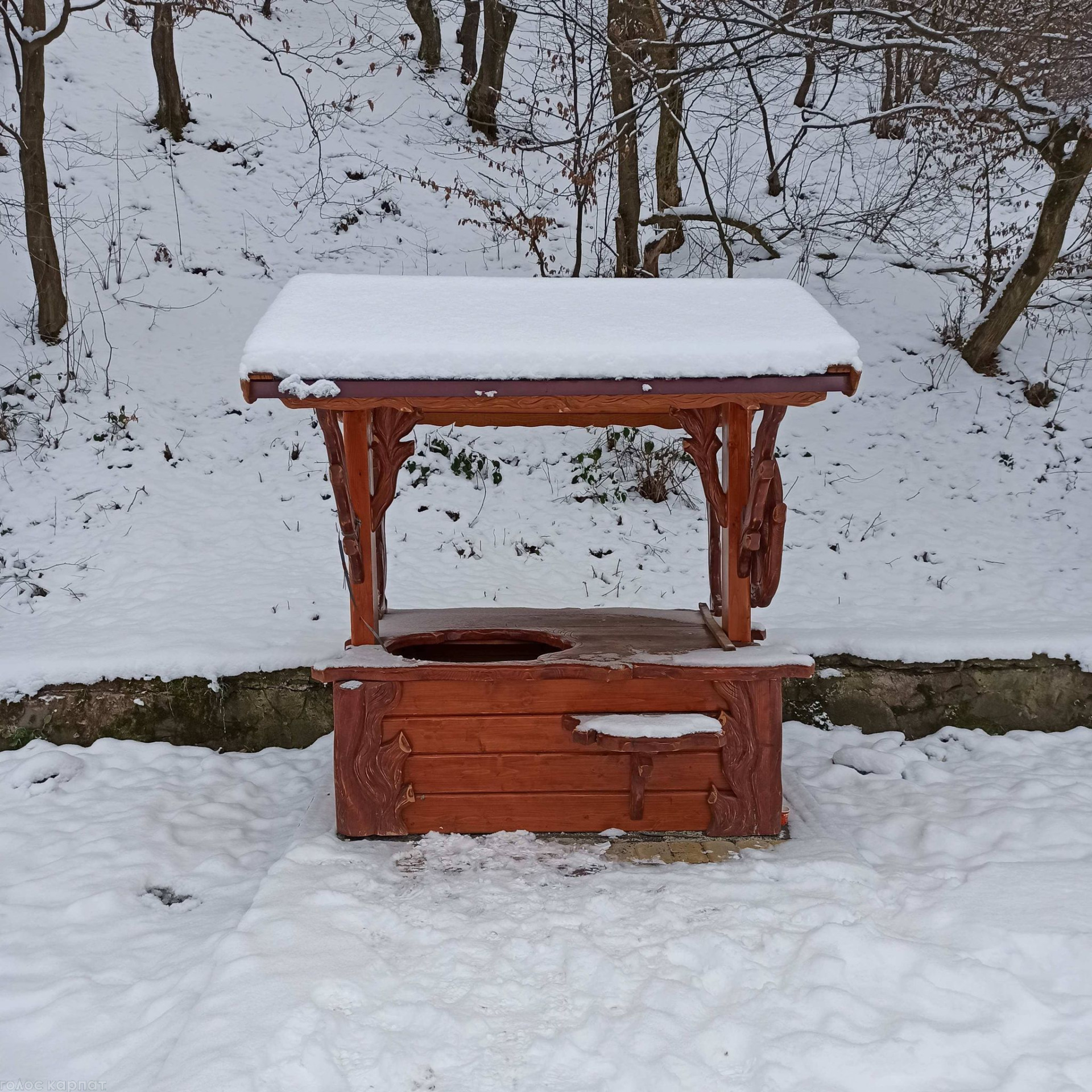 Унікальна криниця: на Закарпатті розташоване найчистіше мінеральне джерело