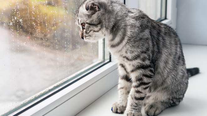 Україну заливатимуть дощі: погода на сьогодні