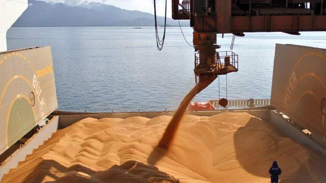 Дефіцит поставкою зерна: Бангладеш хоче збільшити закупівлю української пшениці