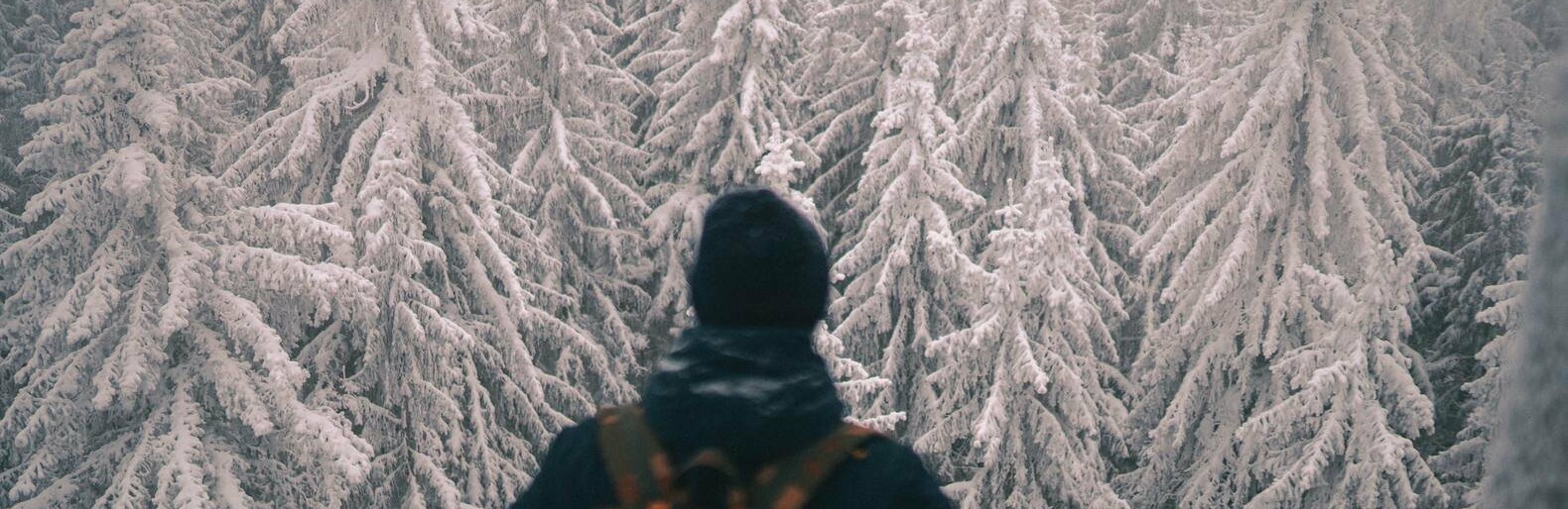 Розвиток туризму на Закарпатті: у Карпатах визначать 50 найкращих для відвідування місць