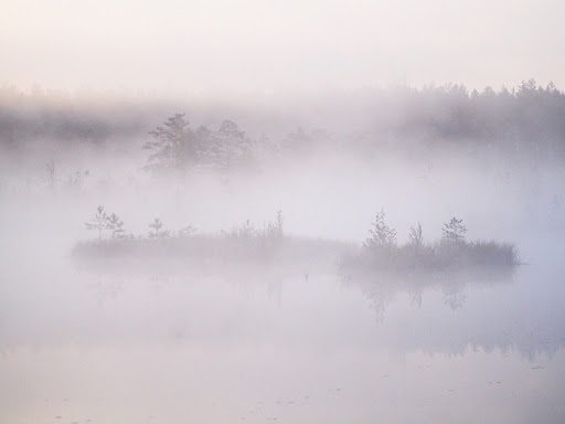 Туман, паморозь та ожеледиця: на Закарпатті погіршення погодних умов