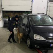 На митному посту “Ужгород” вилучили чергову партію наркотиків