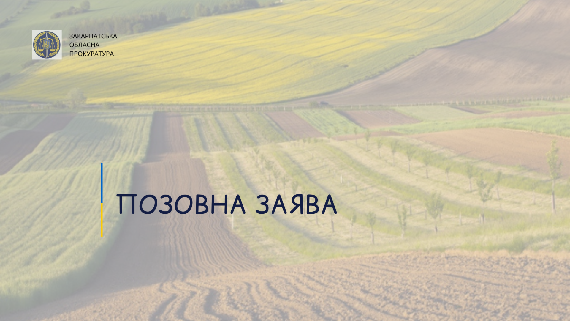 На Закарпатті прокуратура вимагає повернути державі землі вартістю майже 225 мільйонів гривень