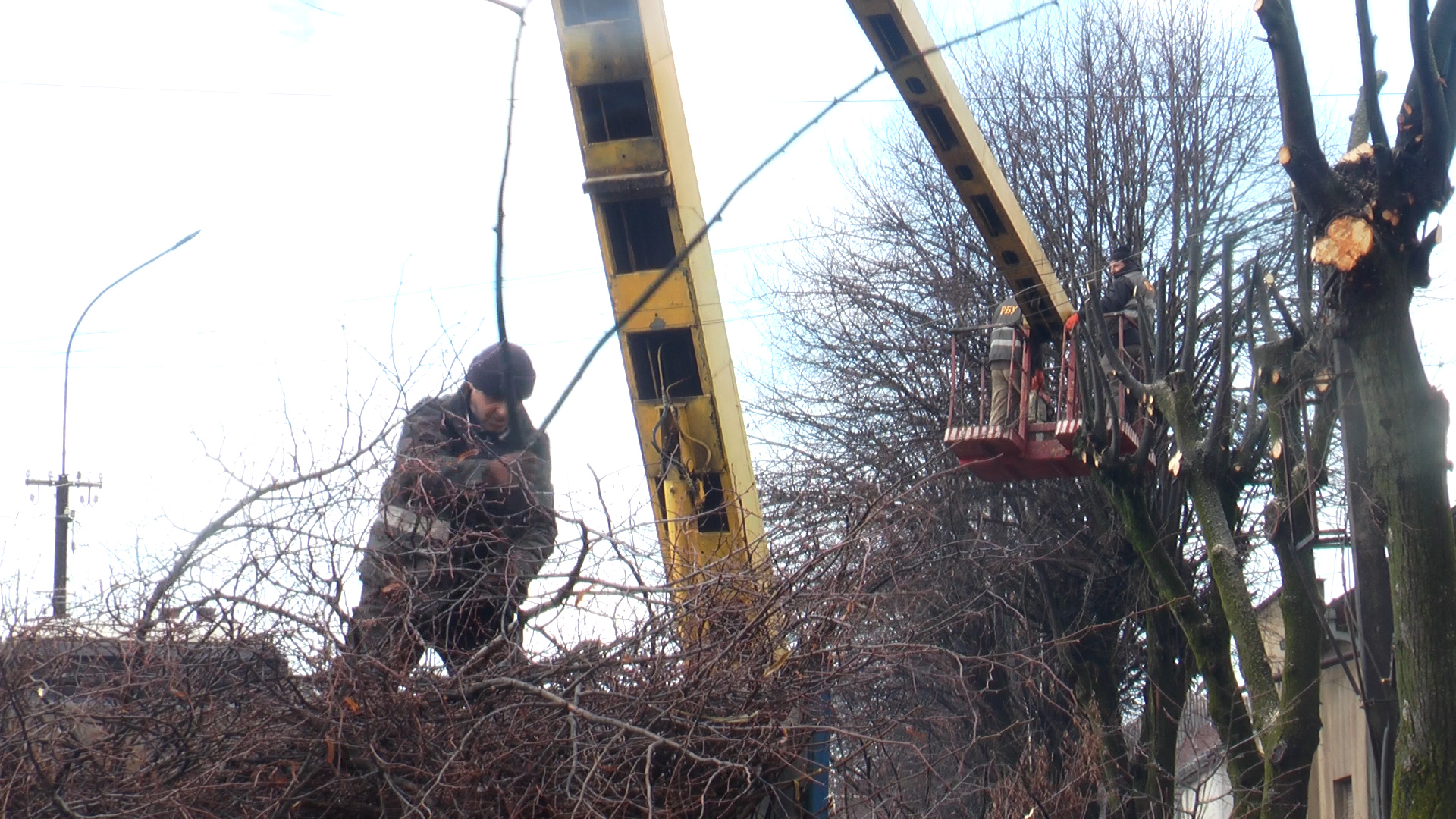 Зелені насадження: комунальники Мукачева здійснюють планову обрізку аварійних дерев