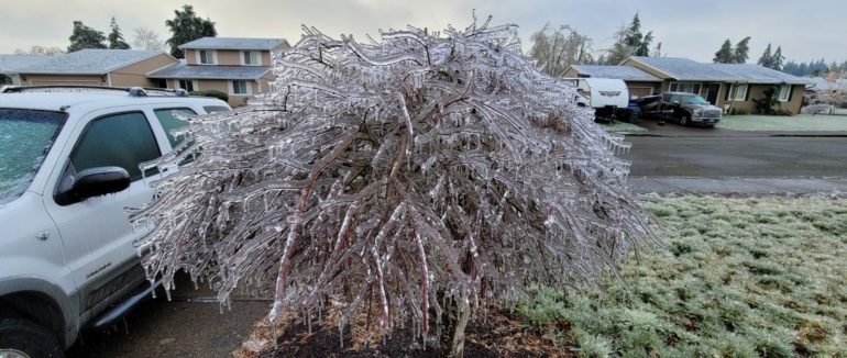 Крижана буря: американський штат Орегон майже зруйнований