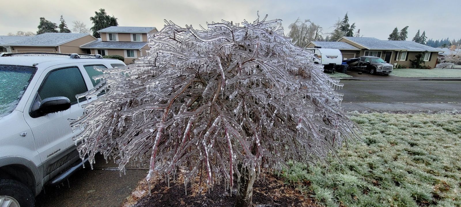 Крижана буря: американський штат Орегон майже зруйнований