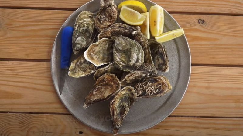 Не лише сало: як українські устриці стали доступним делікатесом