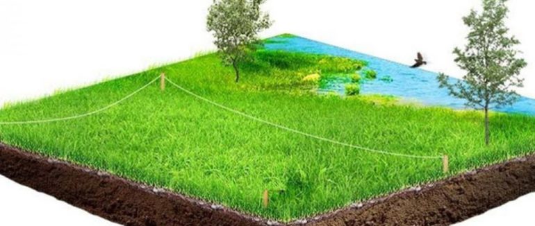 На Воловеччині громадянка самовільно захопила земельну ділянку