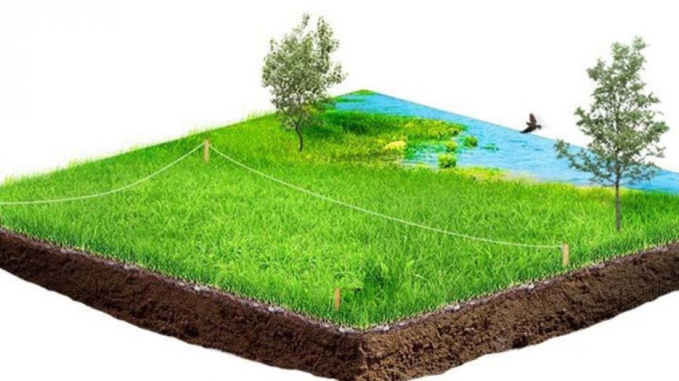 На Воловеччині громадянка самовільно захопила земельну ділянку