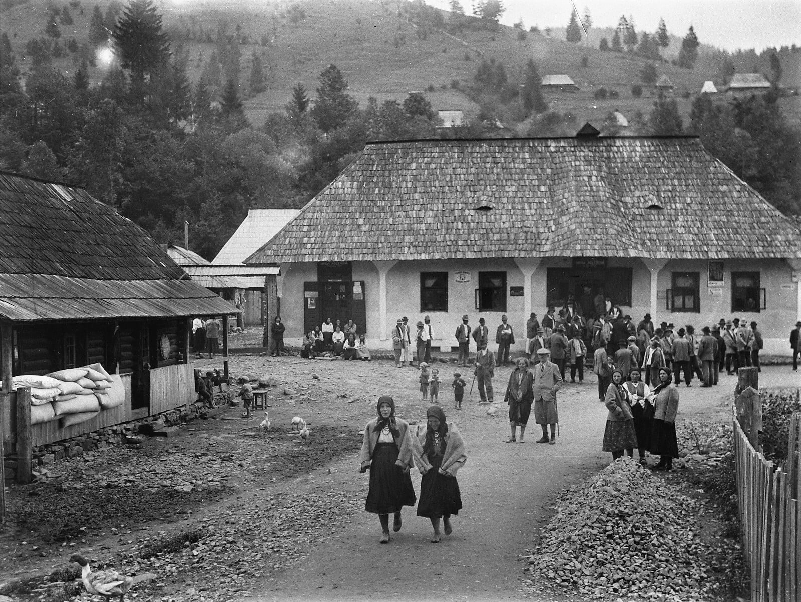 Давня Тячівщина: життя австрійськи переселенців в села