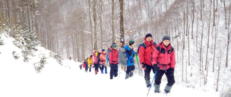 На Закарпатті тривають пошуки заблукалого туриста з Києва