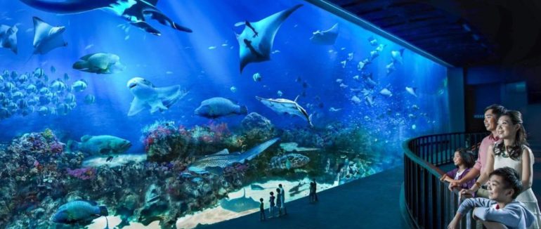 Прогулятись по дні моря: де розташовані 6 найдивовижніших океанаріїв світу