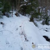 Розфасовували туші оленів по пакетах: на Закарпатті розслідують факт браконьєрства у НПП “Синевир”