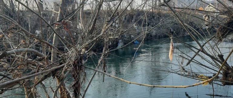 Тони закарпатського сміття чекають на відправлення до Угорщини