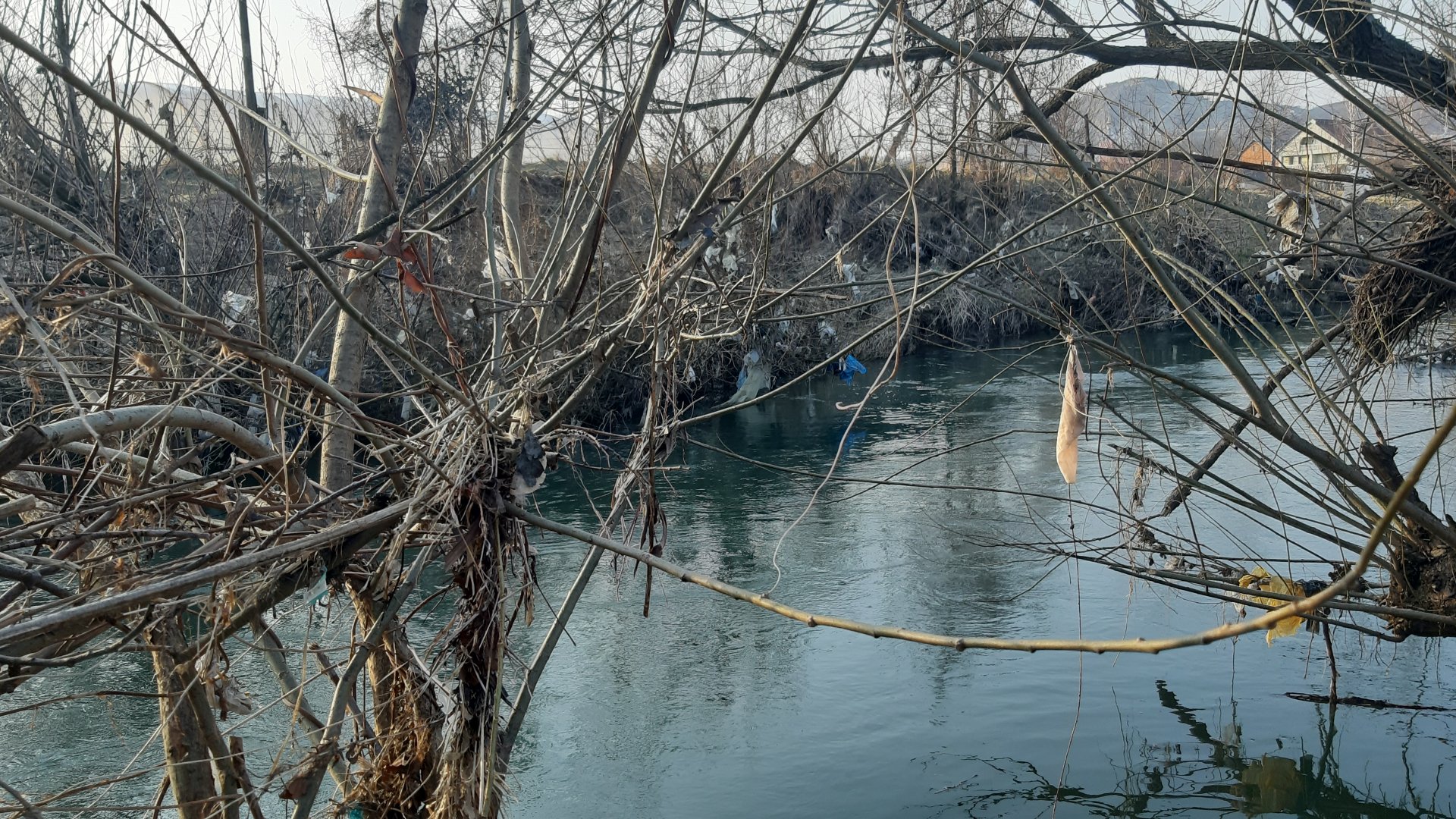 Тони закарпатського сміття чекають на відправлення до Угорщини