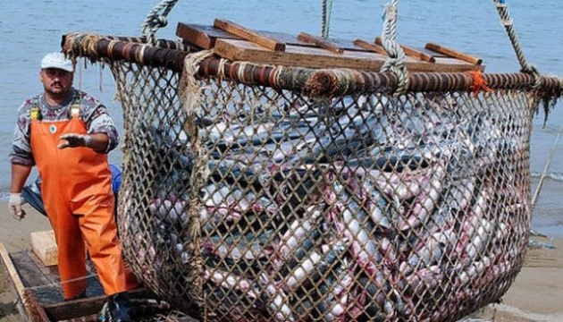 Споживання риби в Україні значно зросло