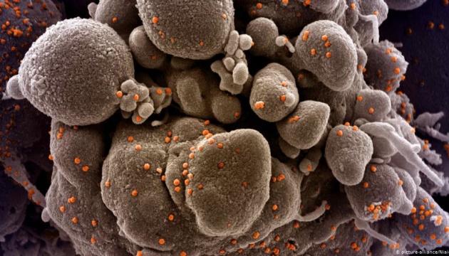 Симптоми, яких не було раніше: на Закарпатті фіксують інакший перебіг коронавірусу