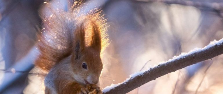 Мінус зміниться на плюс: прогноз погоди на вихідні