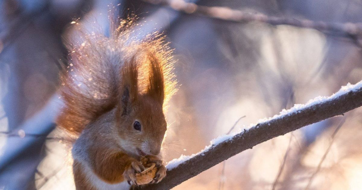 Мінус зміниться на плюс: прогноз погоди на вихідні