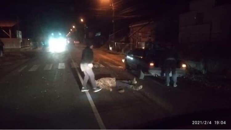 Вечірня автопригода на Закарпатті: під колесами авто опинився чоловік