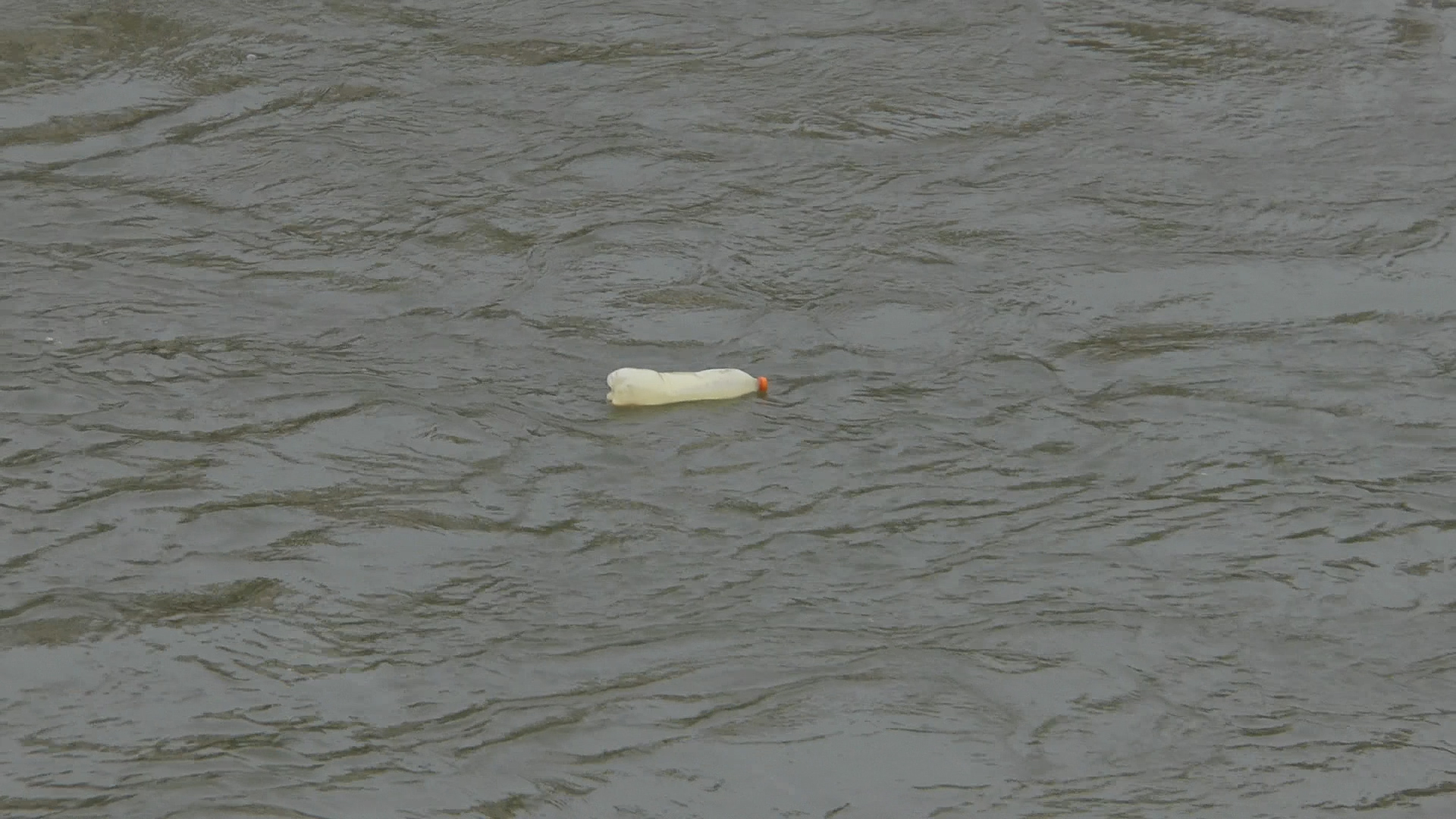 Організація «Зелений Варош» влаштувала прибирання берегів річки Уж