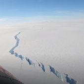 Айсберг розміром з Лондон: в Антарктиді величезний айсберг відколовся від льодовика