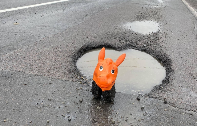 Оригінальні “дорожні знаки”: на Закарпатті попереджають про небезпеку на дорозі