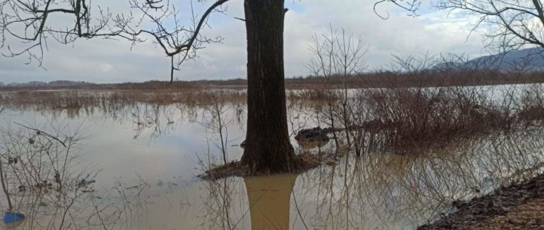 Шокуючі кадри: трасу Мукачево-Рогатин затопило