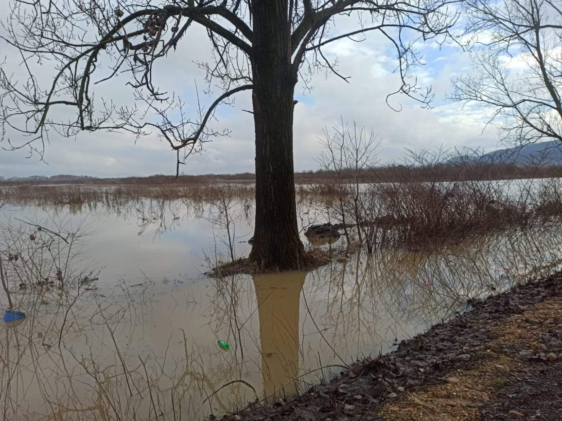 Шокуючі кадри: трасу Мукачево-Рогатин затопило