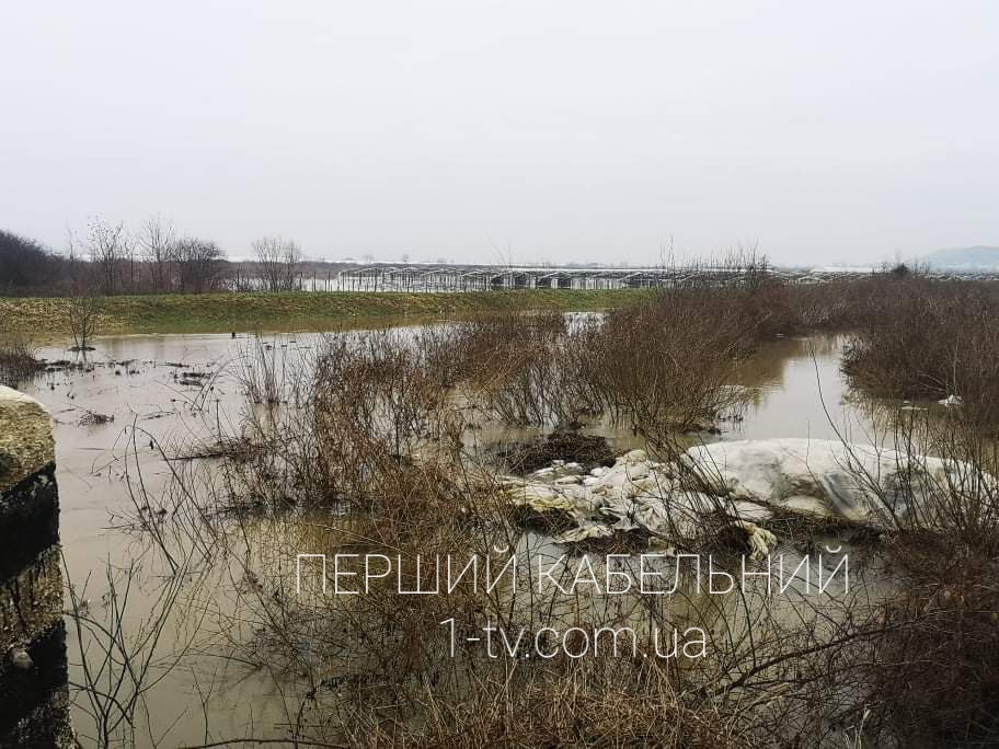 Закарпаття, Мукачівщина, підтоплення, домогосподарства, паводки