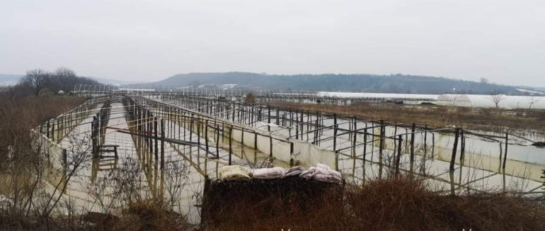 Затоплені десятки домогосподарств: Закарпаття потерпає від паводків