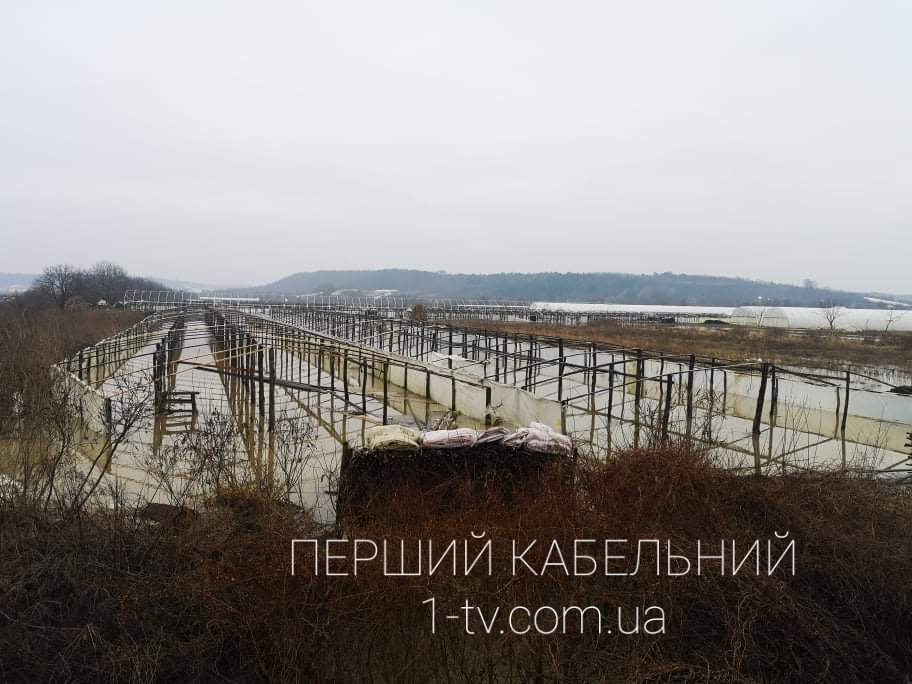 Затоплені десятки домогосподарств: Закарпаття потерпає від паводків