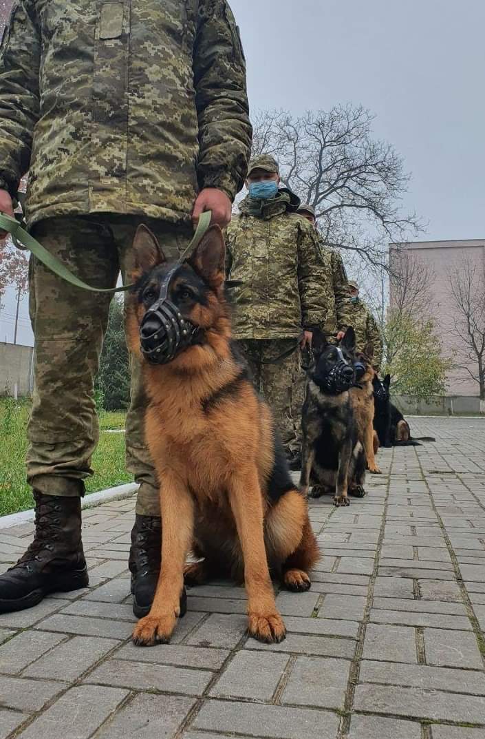 Чопські прикордонники затримали нелегала