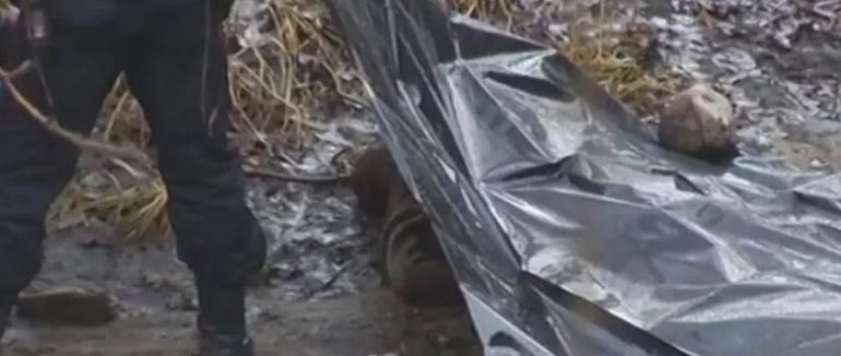 Понівечене тіло, кров та гематоми: на Закарпатті діти виявили тіло вбитої людини