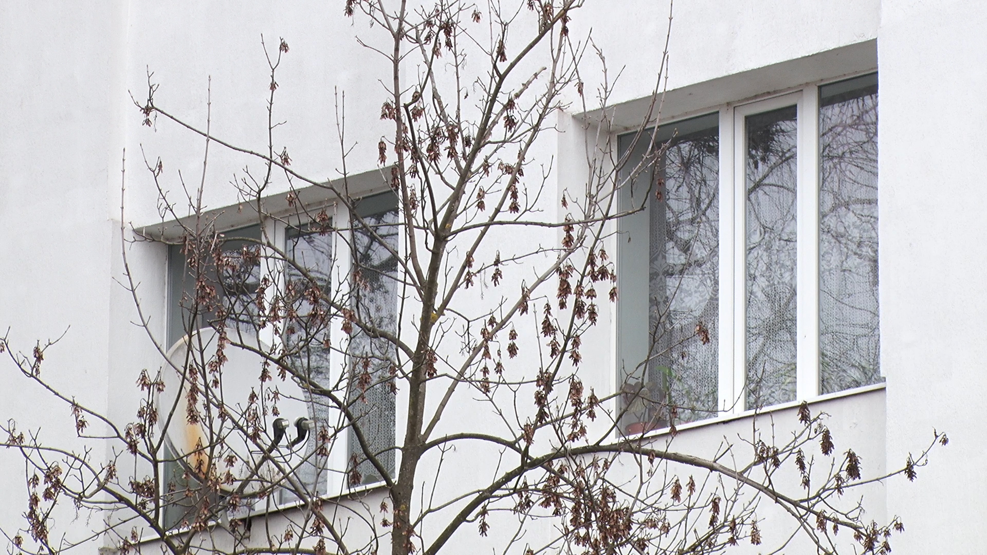 У Виноградові трагічно загинула медик, випавши з четвертого поверху лікарні