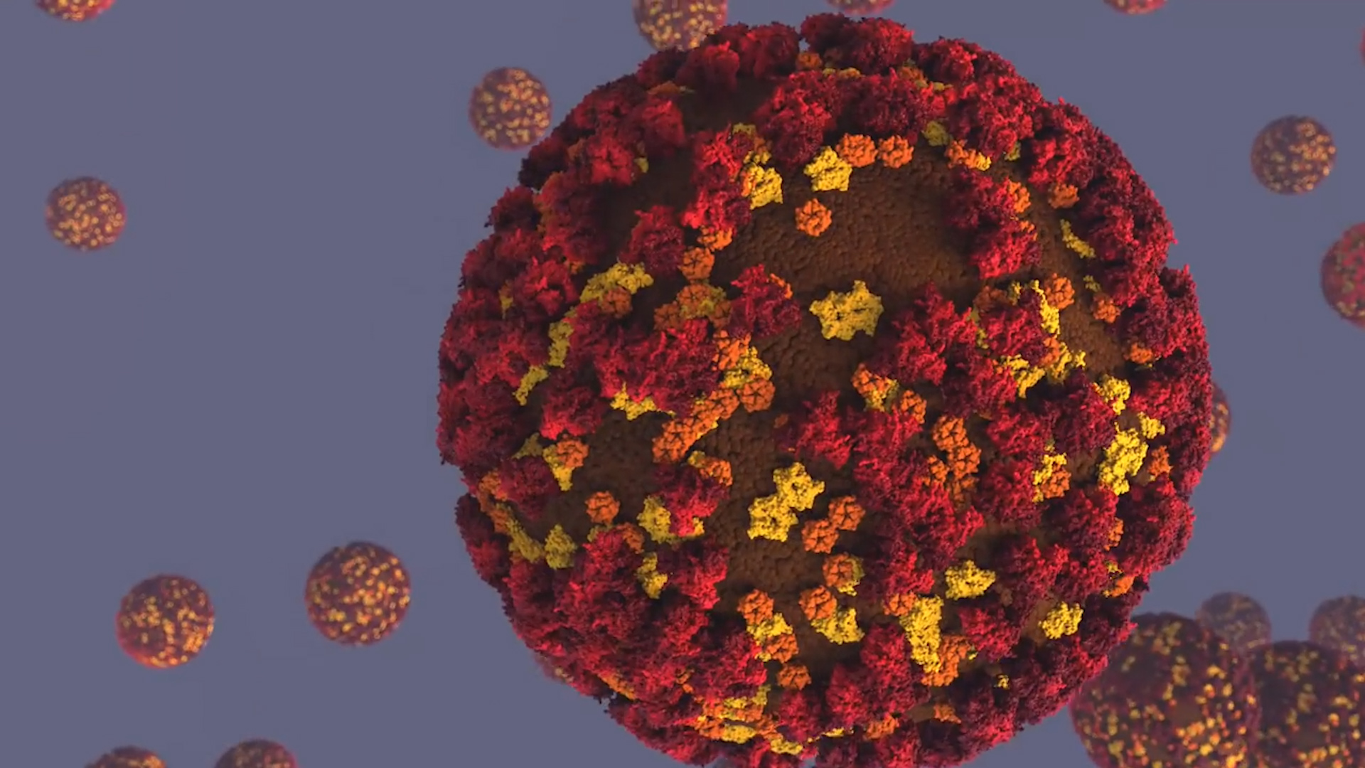 Мутації коронавірусу: Закарпаття штурмують нові штами інфекції