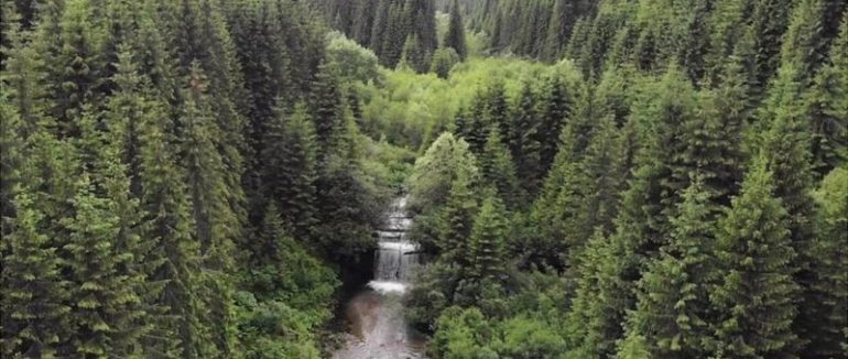 Як “запускаються” Карпатські гірські річки, перекриті ще за часів Австро-Угорщини