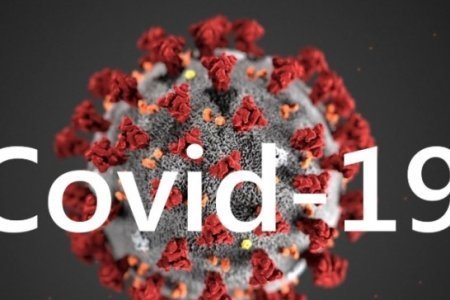 Послаблення не буде: Закарпаття надалі може залишитись в червоній зоні карантину