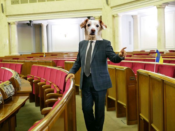 16 березня під парламентом відбудеться Мітинг «Вимагаємо ухвалення зоозахисних законів!»